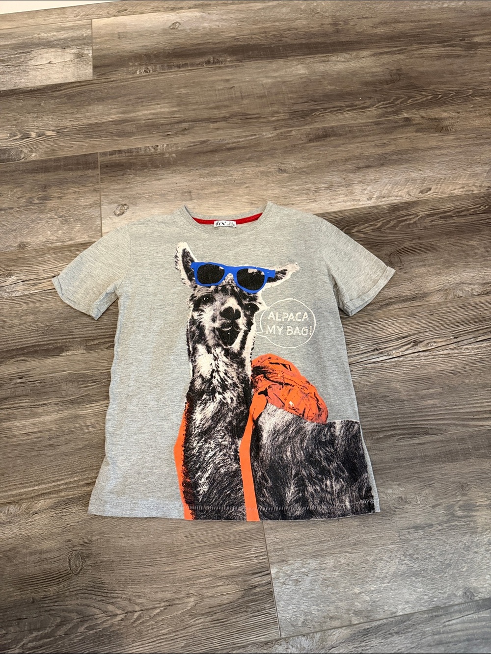 Dex Gray Kids Alpaca Graphic Tee with‎ Sunglasses Print